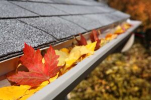 gutter full of leaves