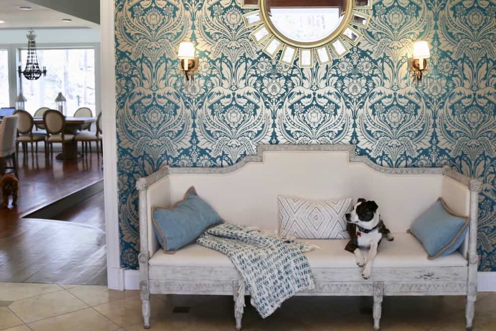 patterned blue wallpaper behind dog