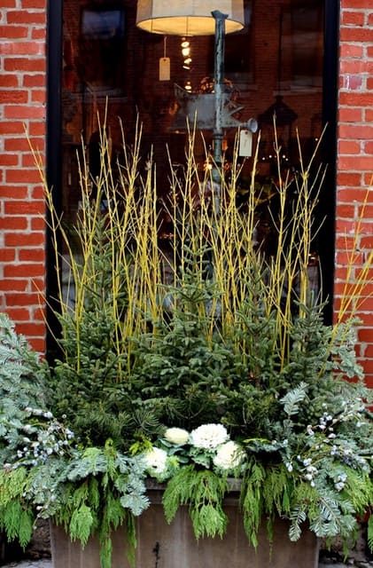 window box gets the holiday treatment