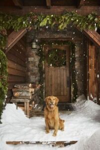 Cosy Holiday Exterior