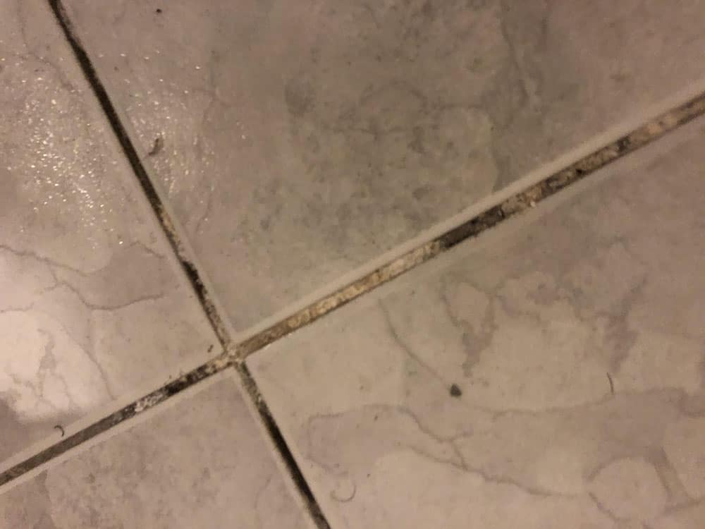 Bathroom Maintenance for Dummies (there's a little more to it than you