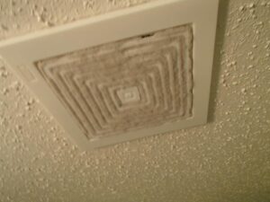 Dirty bathroom fan