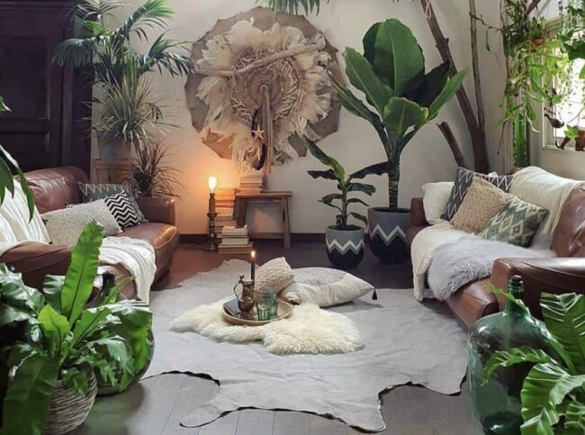 Indoor plants Indoor plants