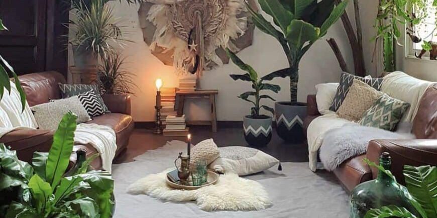 Indoor plants Indoor plants