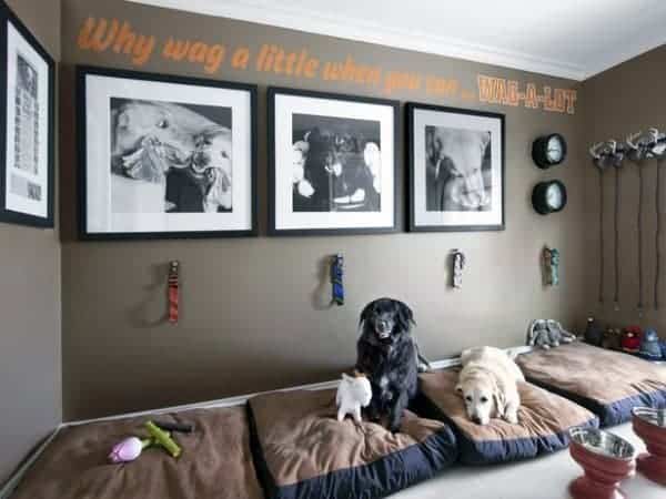 Dog lounge with matching beds