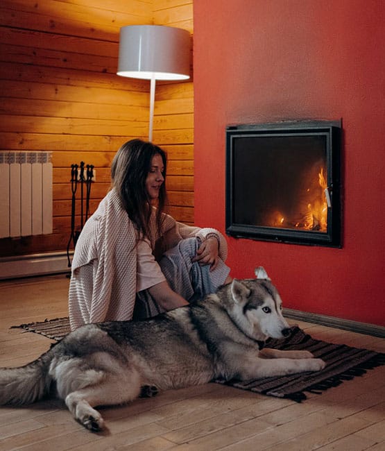 Fireplace with dog