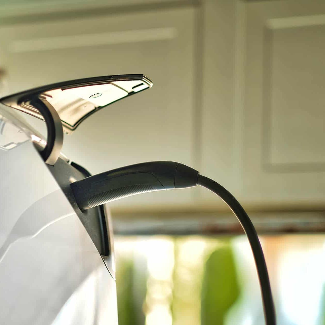 AdobeStock 500956018 1