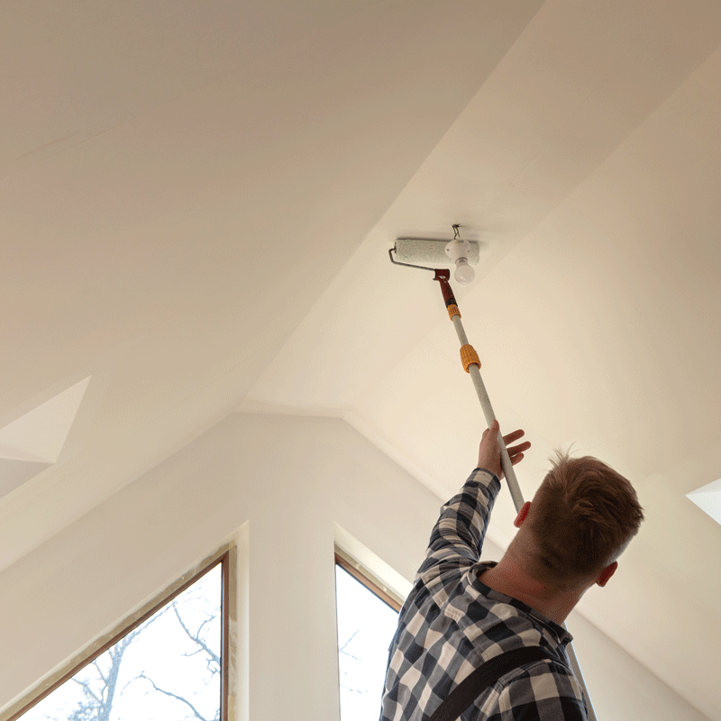 oAdobeStock 345757138